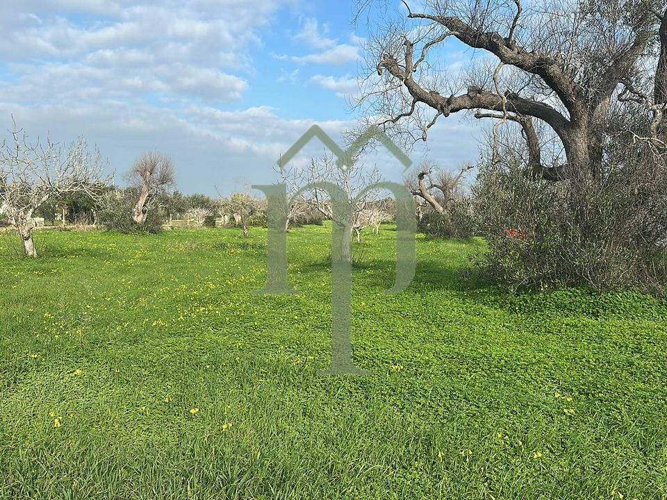 Helårsgrund i San Vito dei Normanni, Brindisi - foto 3